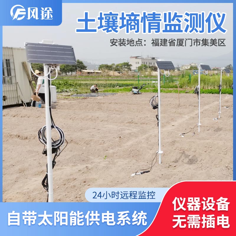 土壤水分實(shí)時(shí)監(jiān)測(cè)設(shè)備是如何在菠蘿園發(fā)揮作用的？